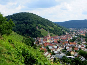 Blick auf Klingenberg mit Burgruine beim Landesorientierungslauf 2014 Tag 2