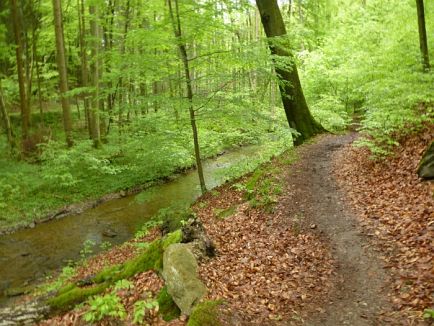 Hartfüssler Trail 2013