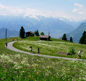 Vom Liechtenstein Marathon 2005