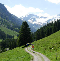 Vom Liechtenstein Marathon 2005