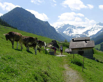 Vom Liechtenstein Marathon 2005