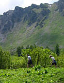 Beim Liechtenstein - Marathon 2005