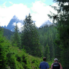 Vom Montafon Arlberg Marathon 2005