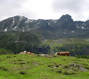 Vom Montafon Arlberg Marathon 2005