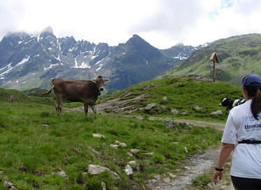 Vom Montafon Arlberg Marathon 2005