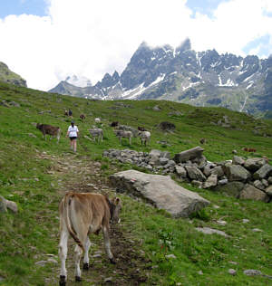 Vom Montafon Arlberg Marathon 2005