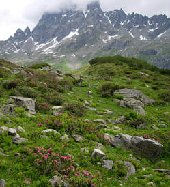 Vom Montafon Arlberg Marathon 2005