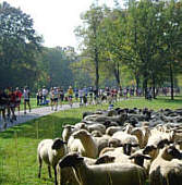 Vom Mnchen Marathon 2005