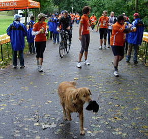 Vom Stadtlauf Nrnberg 2005