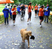 Vom Stadtlauf Nrnberg 2005