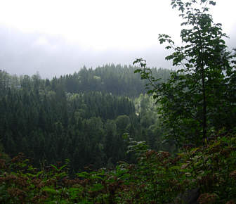 Vom Voralpenmarathon 2005