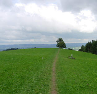 Vom Voralpenmarathon 2005