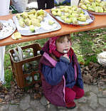 Vom Zeiler Waldmarathon 2005