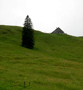 Gebirgsmarathon Immenstadt 2006