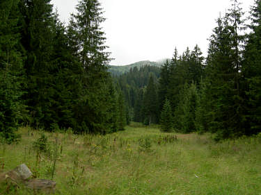 Gebirgsmarathon Immenstadt 2006