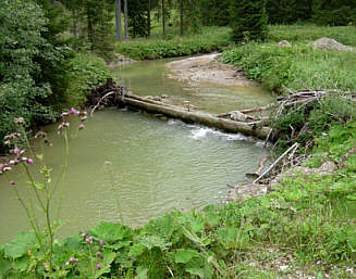 Gebirgsmarathon Immenstadt 2006