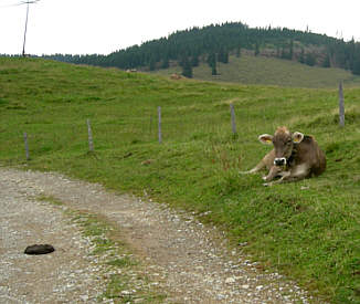 Gebirgsmarathon Immenstadt 2006