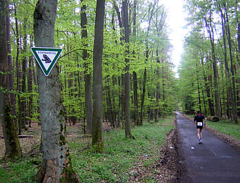 100 km Deutsche Meisterschaft in Hanau Rodenbach