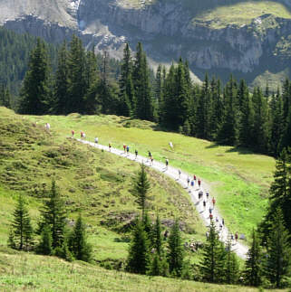 Jungfrau Marathon 2006