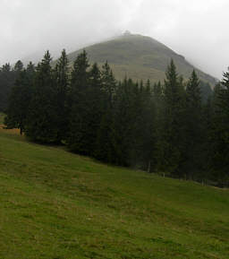 Kaiser - Marathon 2006