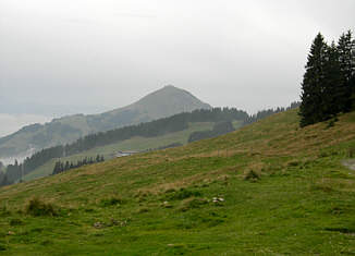 Kaiser - Marathon 2006