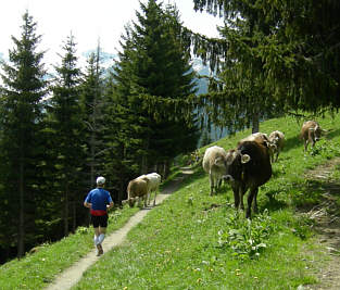 Liechtenstein Marathon 2006