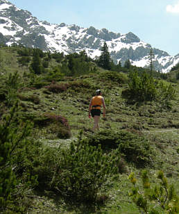 Liechtenstein Marathon 2006