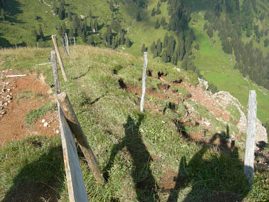 Gebirgsmarathon Immenstadt am 4.8.07