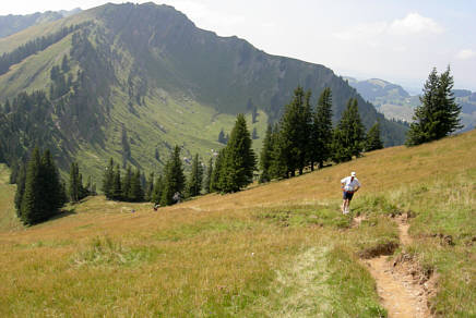 Gebirgsmarathon Immenstadt am 4.8.07