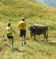 Gebirgsmarathon Immenstadt am 4.8.07