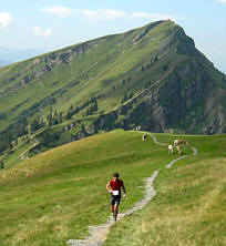 Gebirgsmarathon Immenstadt am 4.8.07