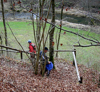 Genusslauf Marathon in der Frnkischen Schweiz