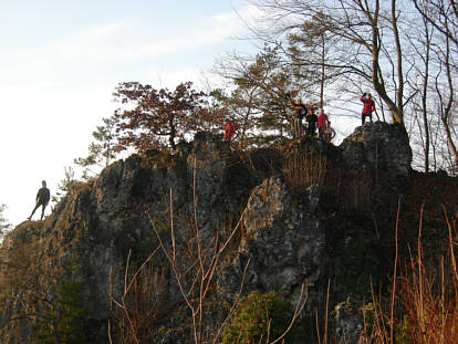 Genusslauf Marathon in der Frnkischen Schweiz