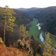 Genusslauf Marathon in der Frnkischen Schweiz