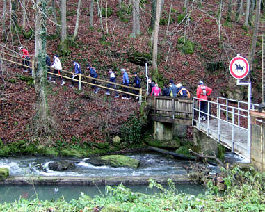 Genusslauf Marathon in der Frnkischen Schweiz