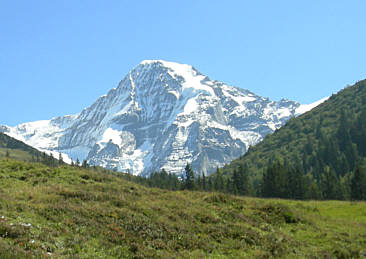 Jungfrau Marathon 2007