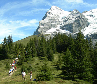 Jungfrau Marathon 2007