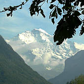 Jungfrau Marathon 2007