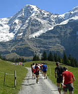 Jungfrau Marathon 2007