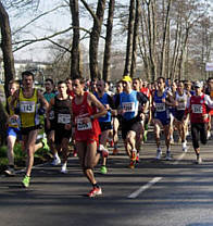 Bienwald - Marathon Kandel am 11.3.2007