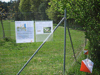 Karpfen Orientierungslauf in Rttenbach