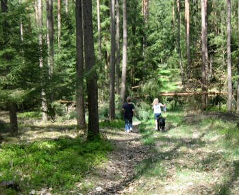 Karpfen Orientierungslauf in Rttenbach