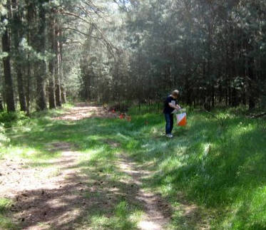 Karpfen Orientierungslauf in Rttenbach