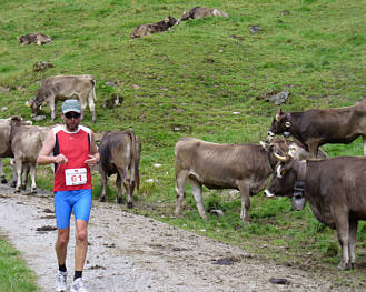 Allgu Panorama Marathon 2007