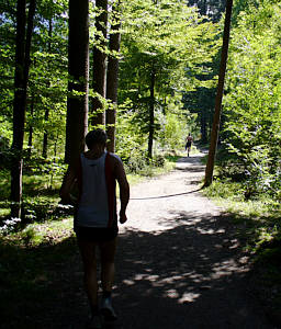 Allgu Panorama Marathon 2007