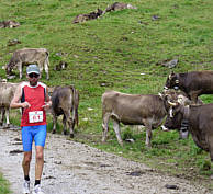 Allgu Panorama Marathon 2007