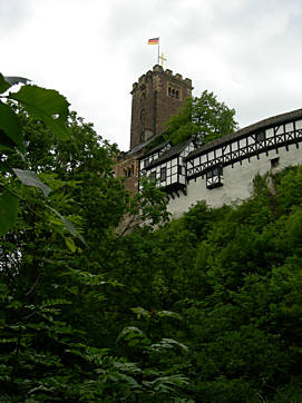 Rennsteig - Supermarathon am 19.5.2007