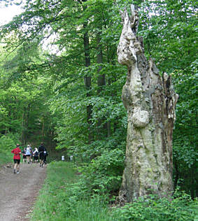 Rennsteig - Supermarathon am 19.5.2007