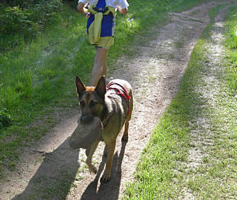 Rennsteig - Supermarathon am 19.5.2007