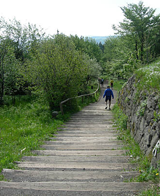 Rennsteig - Supermarathon am 19.5.2007